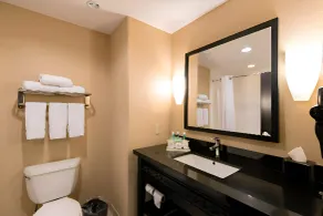 Comfort Inn & Suites Dallas Medical-Market Center - Salle de bain