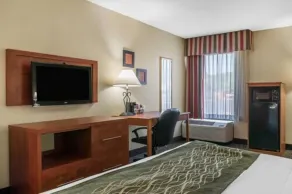 Comfort Inn Pine Grove I-81 Hershey Area - Værelse