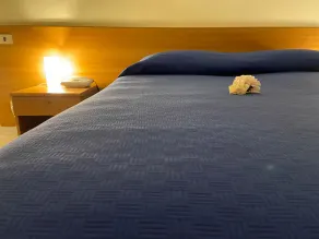 Hotel Mercure - Camera