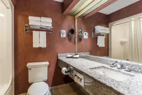 Traditions Hotel & Spa Johnson City - Binghamton, an Ascend Collection Hotel - Chambre