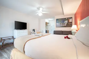 Island Sun Inn & Suites - Historic Venice & Beach Getaway - Vue de la chambre