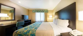 Regency Inn at San Francisco Airport - Chambre