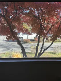 Holiday Inn Express Boise Downtown by IHG - Ausblick vom Zimmer