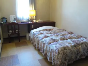 Hotel Platon Annex Green Plaza - Chambre