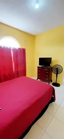 Spring Palm Estate - Room