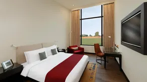 Tiger Palace By Soaltee - Vue de la chambre