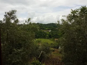 Agriturismo Cisogna - View from room