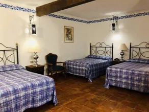 Hotel Mansión Virreyes  - Chambre