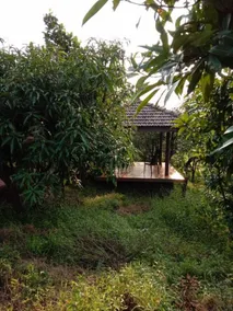 Jayshin Lake Vaitarna Resort - Igatpuri - Room