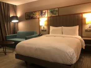 Hilton Garden Inn Istanbul Airport - Room