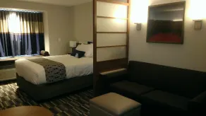 Microtel Inn & Suites by Wyndham Binghamton - Chambre