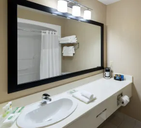 Quality Inn & Suites Oakville-Mississauga - Salle de bain