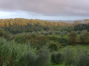 Podere San Quirico - Vista do quarto