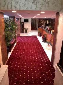 Hotel President Scornicesti - Saguão