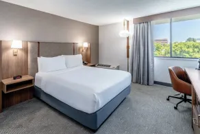 Holiday Inn Dublin - Pleasanton by IHG - Chambre