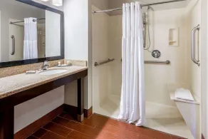 La Quinta by Wyndham Roswell - Salle de bain