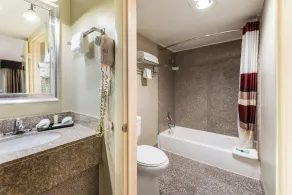 Red Roof Inn Morton Grove - Badrum