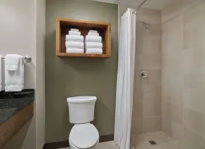 Great Wolf Lodge Webster - Salle de bain
