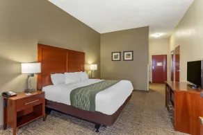 Comfort Inn & Suites Cave City - Chambre