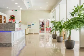 MASLINICA Hedera Hotel - Recepción
