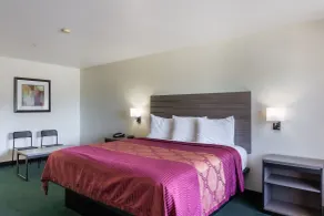 OYO Inn & Suites Medical Center San Antonio - Room