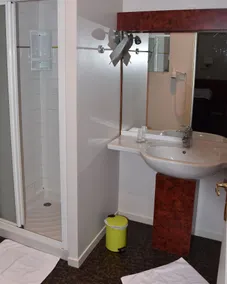 Logis Hôtel La Vraine - Baño
