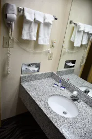 Americas Best Value Inn - Bishopville - Salle de bain