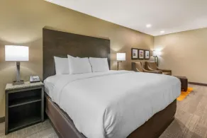 Ameniti Bay - Best Western Signature Collection - Room