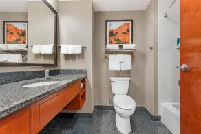 Drury Plaza Hotel Colorado Springs Near the Air Force Academy - Salle de bain