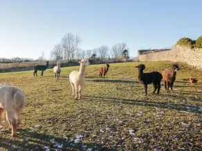 Granary - Restauración