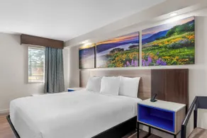 Days Inn by Wyndham Indianapolis East Post Road - Værelse