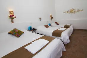 Andean Wings Valley - Room