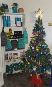 Tasman Holiday Parks - Fisherman's Beach - Reception