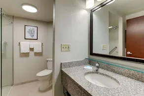 Drury Inn & Suites Marion - Salle de bain