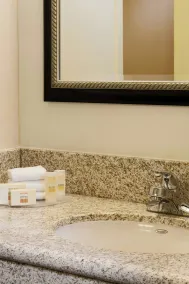 Courtyard by Marriott Houston Hobby Airport - Bathroom