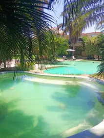 Condo P Iguana - Pool