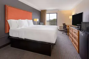 La Quinta by Wyndham Kingsport Tri Cities Airport - Chambre