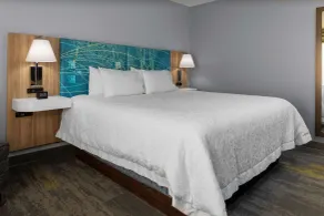 Hampton Inn Gretna - Smith Mountain Lake - Værelse