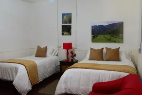 Ecohotel Pinohermoso Reserva Natural - Room