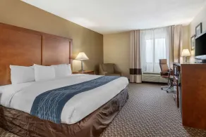 Comfort Inn Indianapolis South - Rum