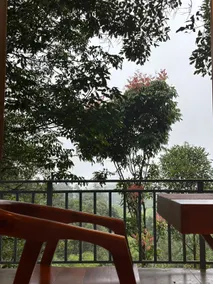Forestscape Resort Munnar - Zimmer