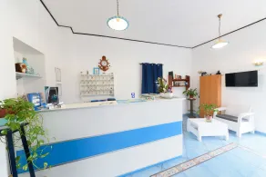 Hotel Celeste - Réception