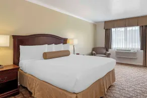 Best Western Salinas Monterey - Chambre