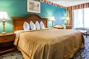 Baymont by Wyndham Walterboro - Chambre