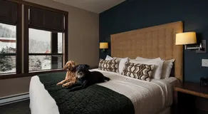Evolution Whistler, by Lodging Ovations - Chambre