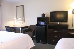 Hampton Inn & Suites Lino Lakes - Habitación