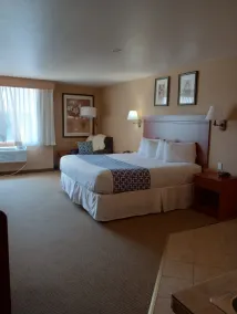 Wingate by Wyndham Mount Vernon - Chambre