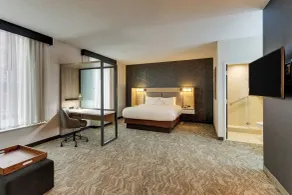 SpringHill Suites by Marriott Birmingham Downtown at UAB - Chambre
