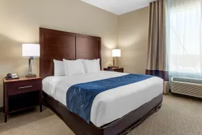 Comfort Suites Waco Near University Area - Chambre