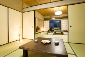 Nagaragawa Seiryu Hotel - Chambre